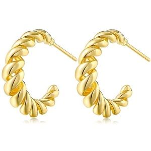 14k GP Hollow Hoop Earrings